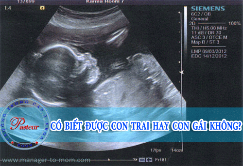 co-biet-duoc-trai-gai