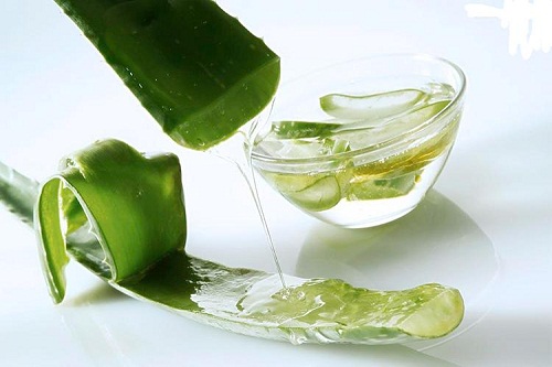 gel-nha-dam