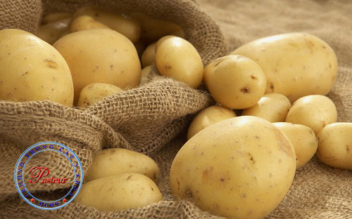 Công dụng của khoai tây trong việc trị mụn hiệu quả?